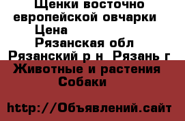 Щенки восточно-европейской овчарки › Цена ­ 13000-15000 - Рязанская обл., Рязанский р-н, Рязань г. Животные и растения » Собаки   